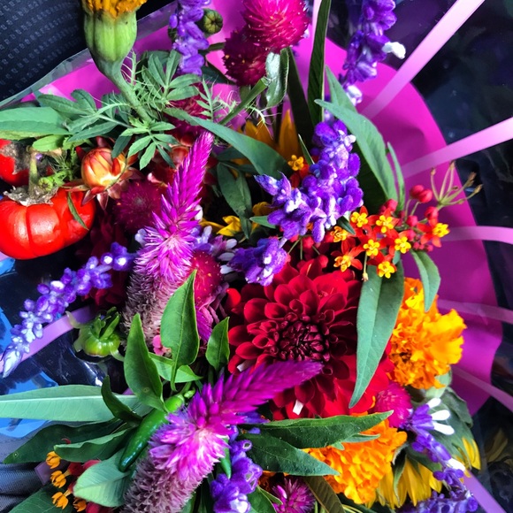 Meet your Posher, Chelsea - Picture 1 of 1